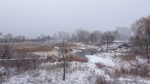 Snowstorm in the wilderness Stock Footage 123879751