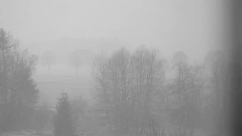 Snowstorm in Winter Stock Footage 150567417
