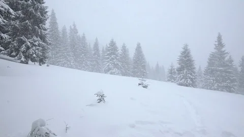 Snowstorm in the winter mountains Video stock 73033898