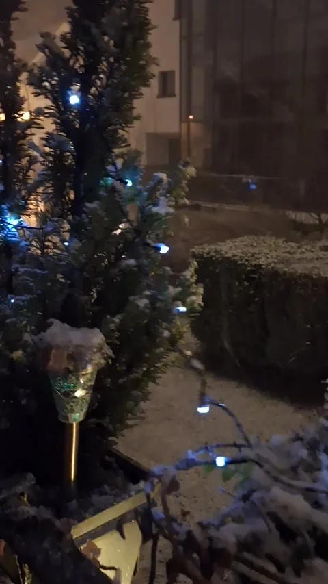 Snowstorm in Zurich in December. Stock Footage 337799291