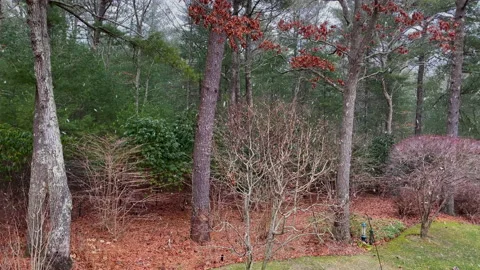 SnowStormPond51 库存影片 147410164