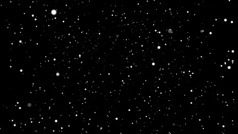 SnowStraightAtCam1 Video stock 84811834
