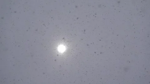 Snowsun Stock Footage 164110970