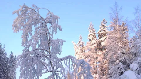 Snow&amp;sun1 Stock Footage 1052249