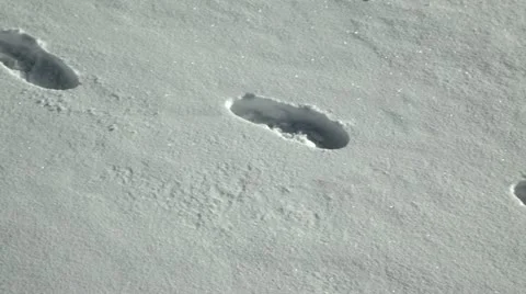 SnowTracks1 Stock Footage 10864935