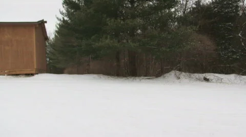 SnowTractor1 Stock Footage