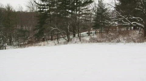 SnowTractor3 Video stock 335570