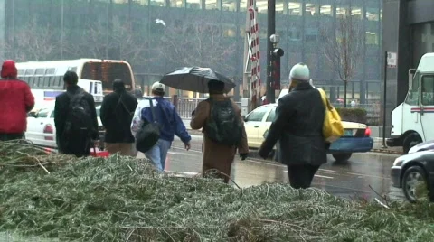 SnowUmbrellas2 Stock Footage 277560