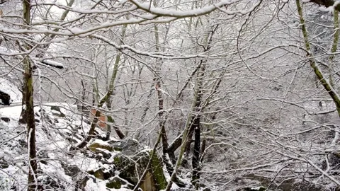SNOW,WATERFALL,BLACKSEA, DEVREK, TURKEY, TREE,ICE,aerials Stock Footage 168606819