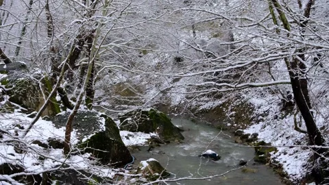 SNOW,WATERFALL,BLACKSEA, DEVREK, TURKEY, TREE,ICE,aerials Stock Footage 168621084