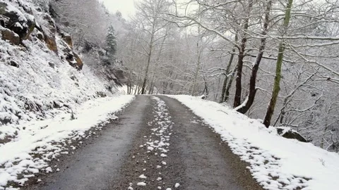 SNOW,WATERFALL,BLACKSEA, DEVREK, TURKEY, TREE,ICE,aerials Stock Footage 168621415