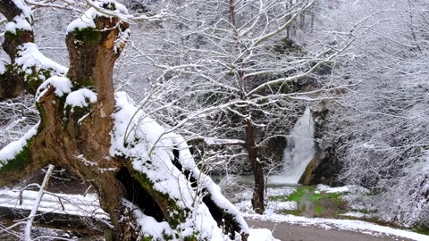 SNOW,WATERFALL,BLACKSEA, DEVREK, TURKEY, TREE,ICE,aerials Stock Footage 168621665
