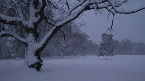 Snowy afternoon in Monclair Stock Footage