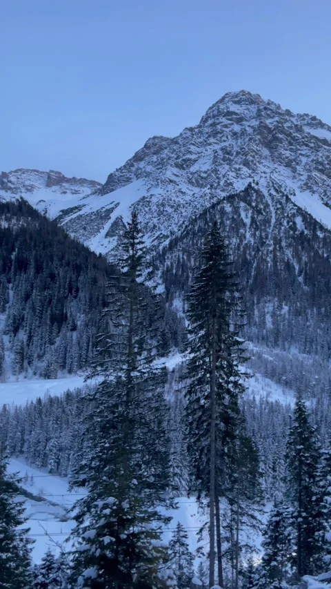 Snowy alpine peaks with trees at dusk in Switzerland Video stock 330585388