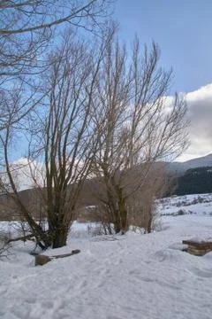 Snowy and cold mountain forest landscape Stock Photos