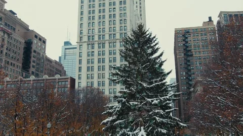 A snowy and at the same time beautiful Christmas tree in the city of Chicago Video stock 324765344