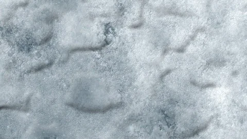 Snowy background Stock Footage 122180040