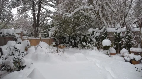 Snowy backyard. Stock-Footage 227267681