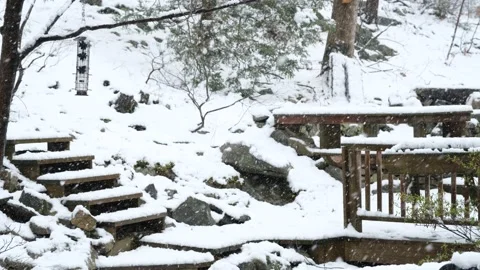 Snowy Backyard Stock-Footage 235830530