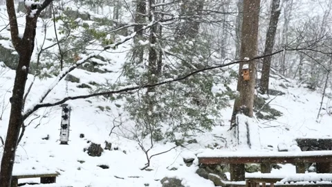 A Snowy Backyard Stock-Footage 235830538