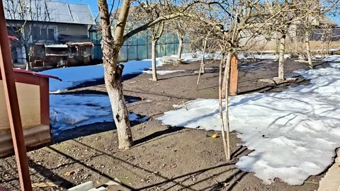 Snowy Backyard with Leafless Trees and House Under Clear Blue Sky Stock Footage 330846715