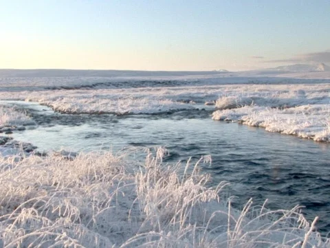 Snowy Bank Stock Footage 490399