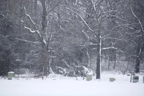 Snowy Beehive Apiary Stock Photos