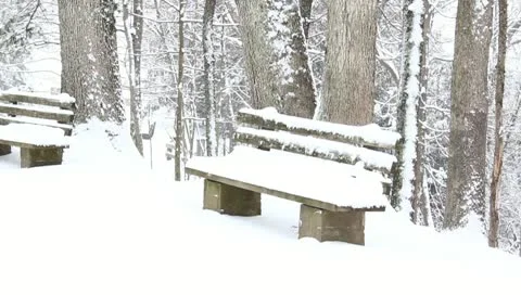 Snowy bench Stock Footage 10750535
