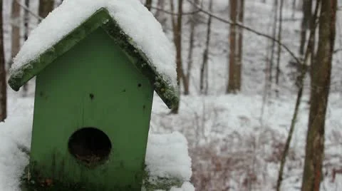 Snowy Bird House Close up Stock Footage 10577360