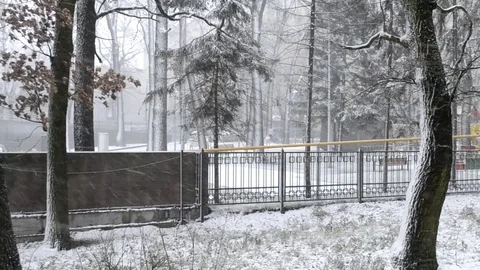 Snowy Blizzard Stock Footage 83891059