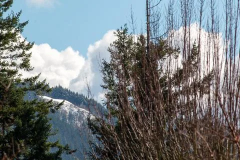 A snowy bluff in the forest with clouds and blue sky Stock Photos