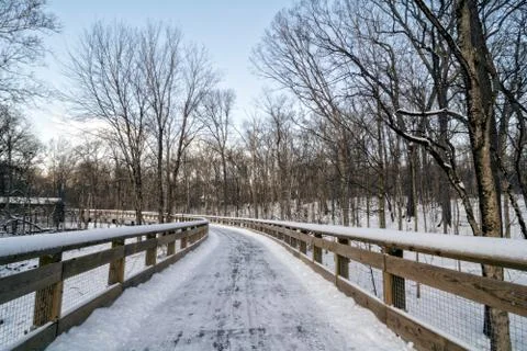 Snowy Boardwalk Trail Foto stock
