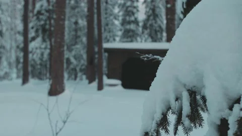 Snowy Branch Stock Footage 200830978