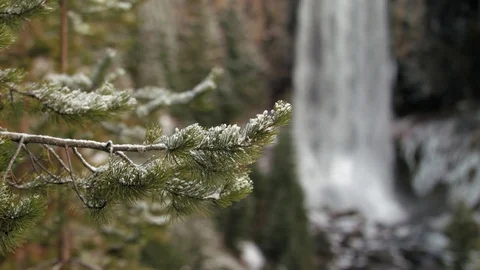 Snowy Branch in front of a powerful waterfall Video stock 83231987