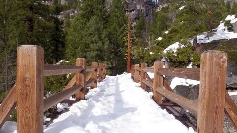Snowy Bridge with Large Trees - Reverse Dolly Shot 스톡 동영상 87853262
