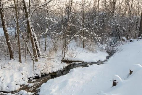 Snowy Brook Stock Photos