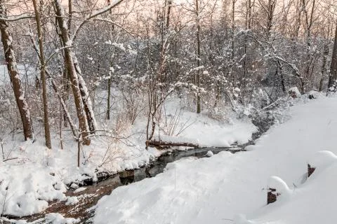 Snowy Brook Stock Photos