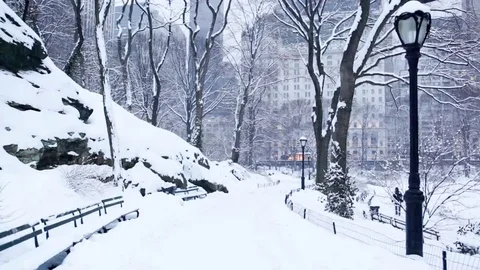 Snowy Central Park Path Manhattan Stock Footage 69077119