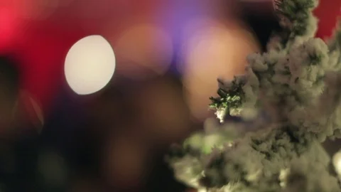 Snowy Christmas Tree Stock Footage 76068232