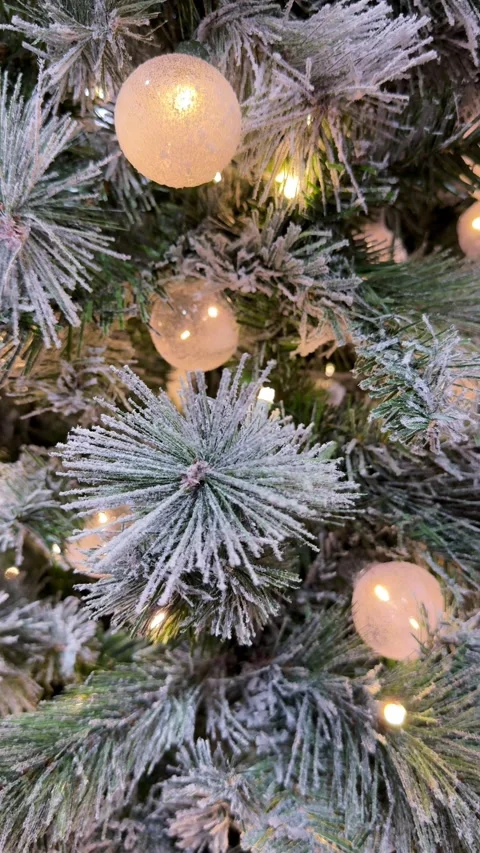 Snowy Christmas Tree Stock Footage 291744457