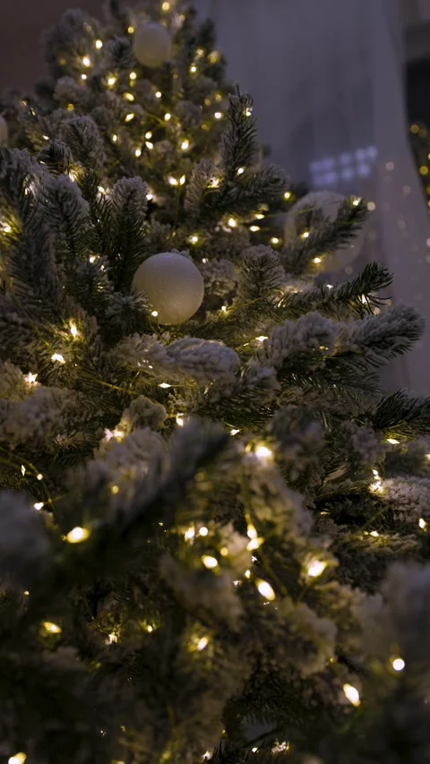 Snowy Christmas tree Stock Footage 323224127