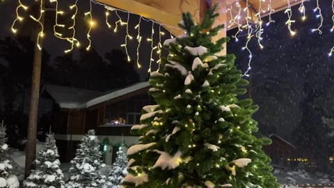 Snowy Christmas tree with glowing string lights at night. Stock Footage 327852314