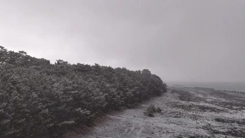 Snowy Coast and Pine Forest Miho no Matsubara Winter Aerial 4K Stock-Footage 329064114