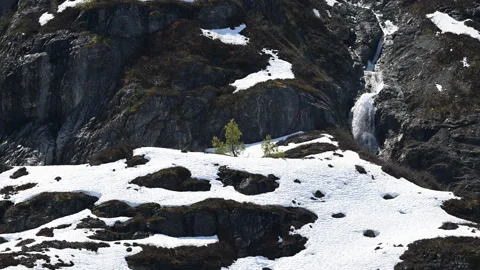 Snowy coastline Stock-Footage 244081121