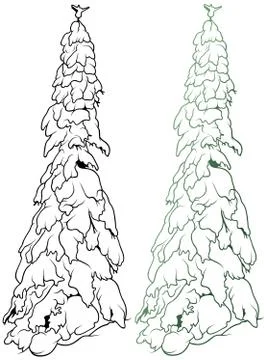 Snowy Coniferous Tree Stock Illustration