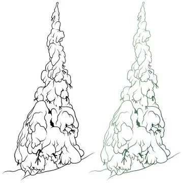 Snowy Coniferous Tree Stock Illustration