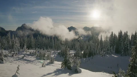 Snowy coniferous trees, mountains in thick clouds, Mount Rainier national park Video stock 252596432