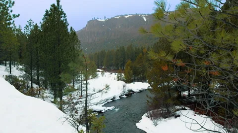 Snowy creek and pine forest with rocky ridge background Stock Footage 171714766