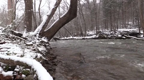 Snowy Creek Close up Stock Footage 47244238