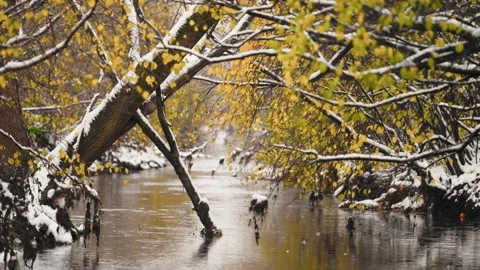Snowy Creek in Fall Video stock 295317656